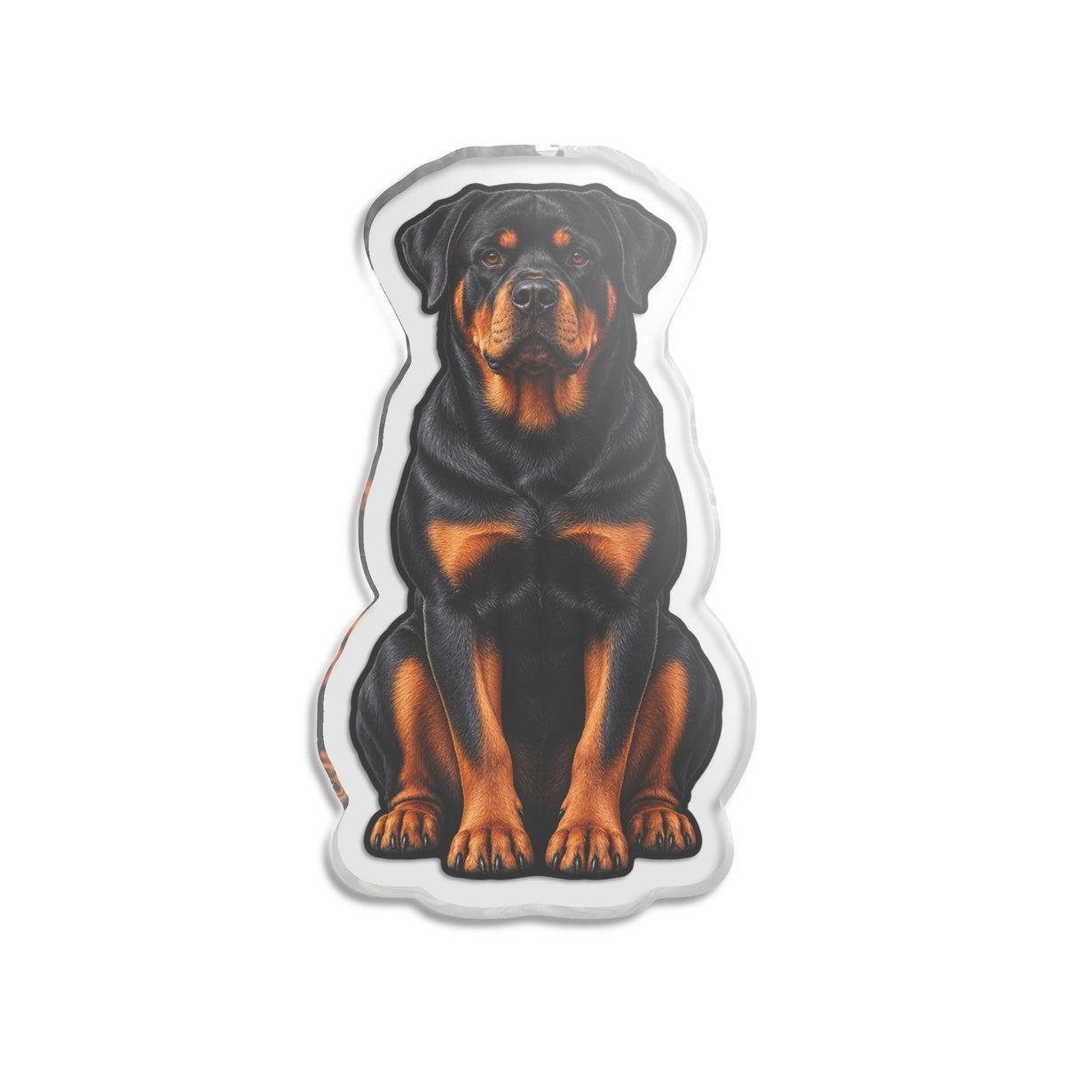 Seated Rottweiler Acrylic Desk Statue – 5 in